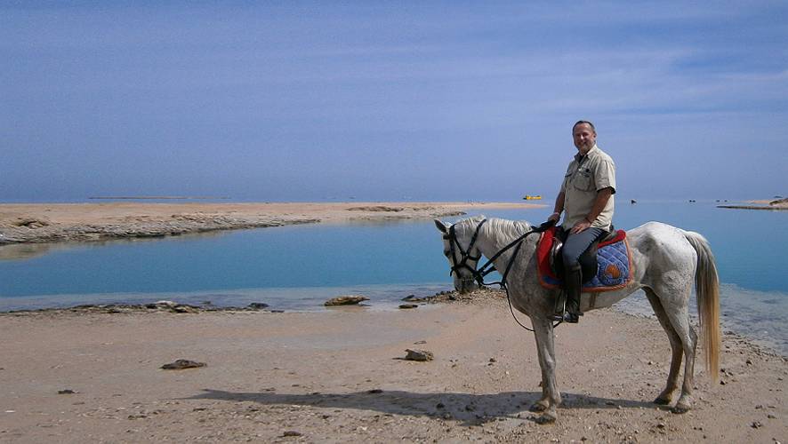 5-sea horse_22
